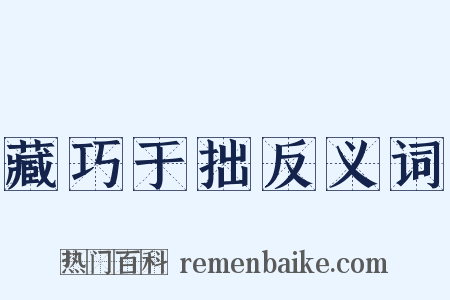 藏巧于拙反义词是什么意思的图片